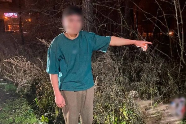 17 жастағы қасапшы жігіт өз анасының басын кесіп, жерге көміп тастады