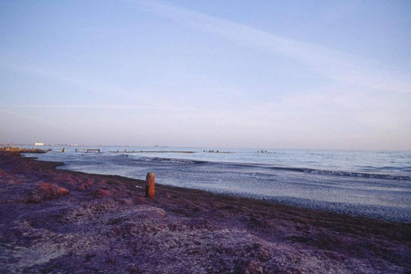 2026 жылы Каспий теңізін тереңдету жұмыстары басталады