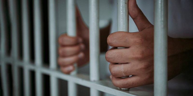 Елге танымал балуан, еркін күрестен Олимпиада жүлдегері қамауға алынды (ФОТО)