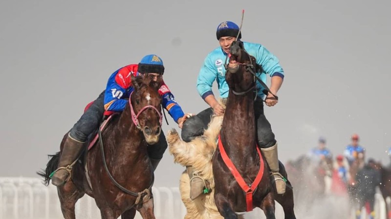 QAZAQSTAN KOKPAR CUP: Шымкентте өтіп жатқан республикалық турнирдің жартылай финалистері анықталды