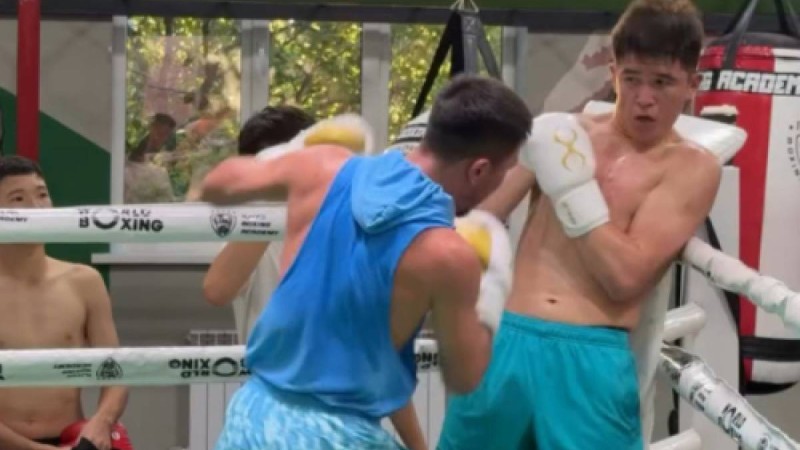 Боксшы Махмұд Сабырхан інісі Төрехан Сабырханды рингте "сыбап алды" (ВИДЕО)