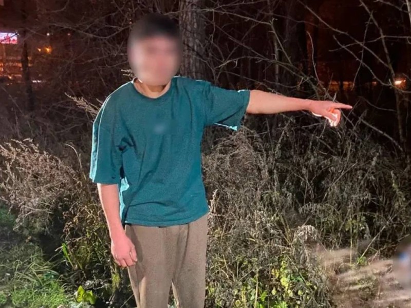 17 жастағы қасапшы жігіт өз анасының басын кесіп, жерге көміп тастады