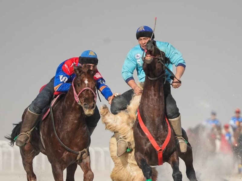 QAZAQSTAN KOKPAR CUP: Шымкентте өтіп жатқан республикалық турнирдің жартылай финалистері анықталды