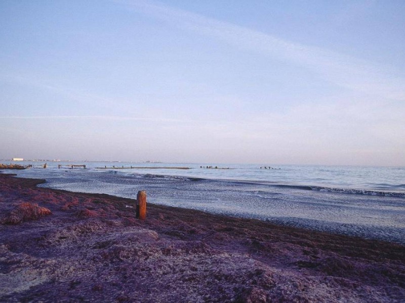 2026 жылы Каспий теңізін тереңдету жұмыстары басталады