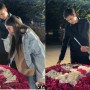 Шерхан Қалмырза өзінен 2 жас үлкен сүйіктісіне 601 роза сыйлады (ВИДЕО)